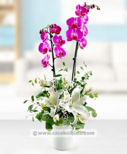 Çift Dallı Orkide Çiçeği Aranjmanı