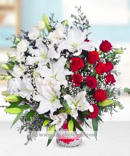 Cam Vazoda Asil Aranjman