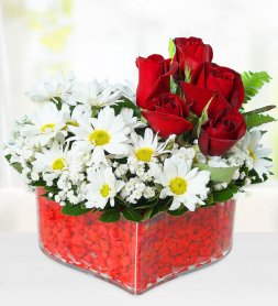 Kalpte Papatyalar ve Güller