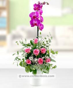 Mor Orkide ile Pembe Gülün Ahengi
