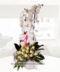 Orkide Aranjmanı