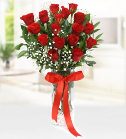 Vazoda 17 Kırmızı Gül