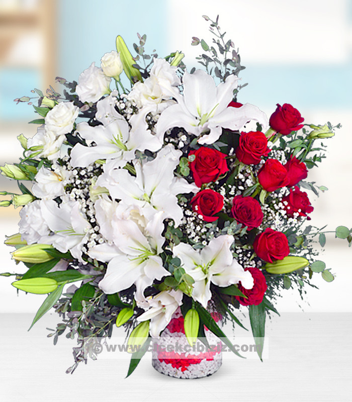 Cam Vazoda Asil Aranjman