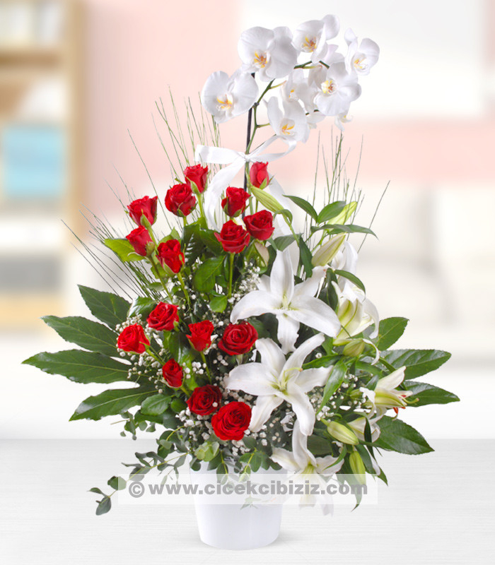 Gerçek Tutku Orkide Çiçeği